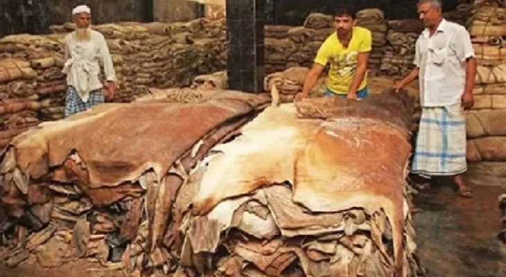 দাম বাড়লো কোরবানির পশুর চামড়ার